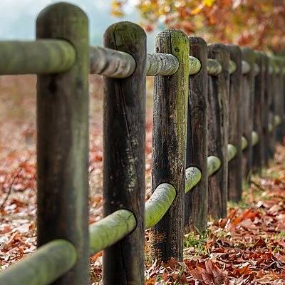 Wooden fence along autumn leaf-strewn path.