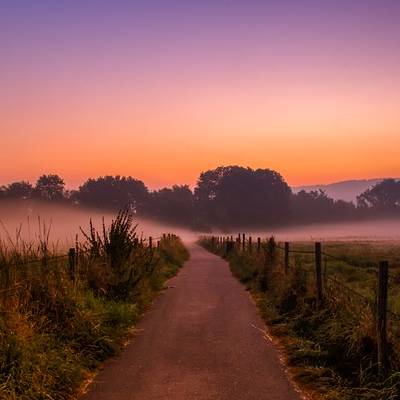 Misty sunrise over a serene rural path