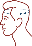 Illustration of human head with brain activity arrows.